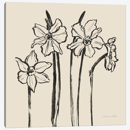 Ink Sketch Daffodils Canvas Print #SZM30} by Sara Zieve Miller Canvas Artwork
