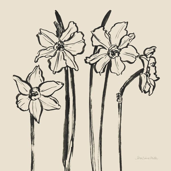 Sara Zieve Miller: Ink Sketch Daffodils by Sara Zieve Miller