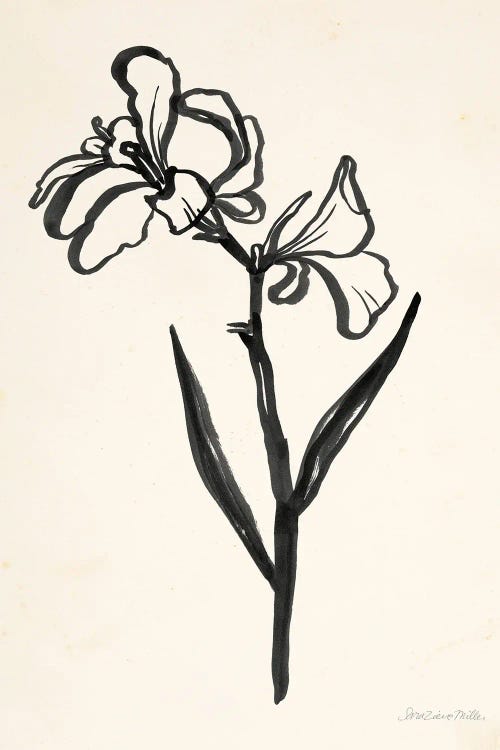 Ink Flower II Cream by Sara Zieve Miller wall art