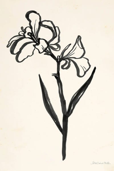 Black & White Florals: Ink Flower II Cream by Sara Zieve Miller