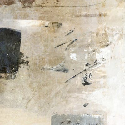 Sand and Stone by Suzanne Nicoll canvas print