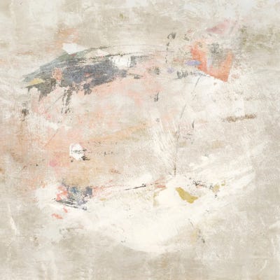 Desert Rain by Suzanne Nicoll canvas print