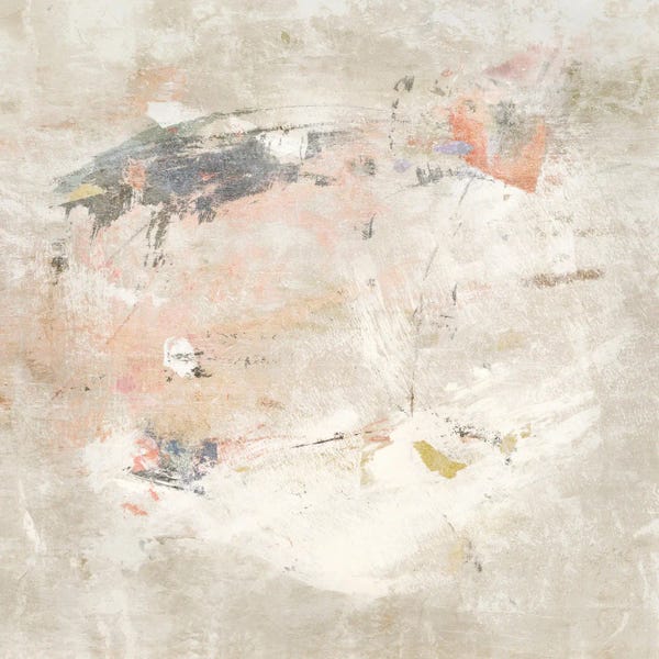 Suzanne Nicoll: Desert Rain by Suzanne Nicoll