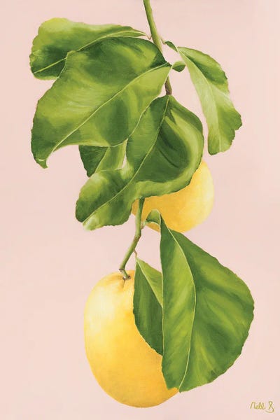 Nell Symonds: Lucia by Nell Symonds