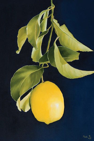 Nell Symonds: Lyon by Nell Symonds