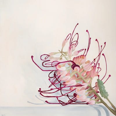 Wildwood by Nell Symonds canvas print