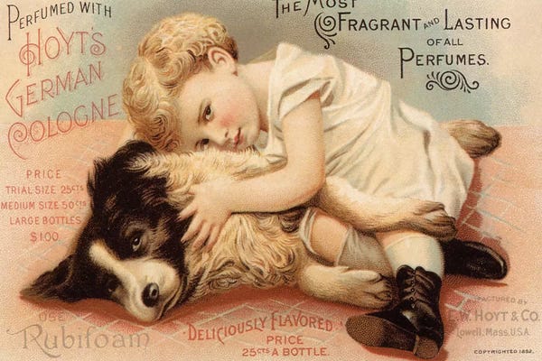 The Advertising Archives: 1890s Hoytes Cologne Magazine Advert by The Advertising Archives