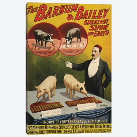 1900s Barnum & Bailey Circus Poster Canvas Print #TAA214} by The Advertising Archives Canvas Print