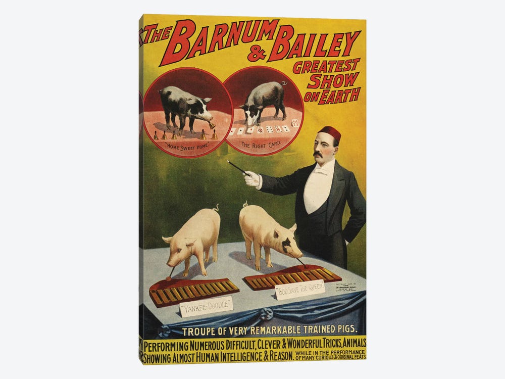 1900s Barnum & Bailey Circus Poster by The Advertising Archives 1-piece Canvas Art Print