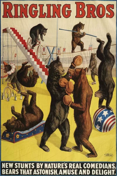 1900s Ringling Bros Circus Poster by The Advertising Archives art print