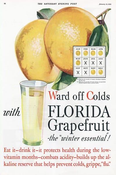 1920s Florida Grapefruit Magazine Advert by The Advertising Archives canvas print