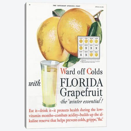 1920s Florida Grapefruit Magazine Advert Canvas Print #TAA230} by The Advertising Archives Canvas Artwork