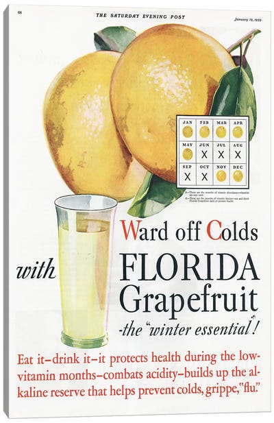 1920s Florida Grapefruit Magazine Advert Canvas Art Print - Food & Drink Posters