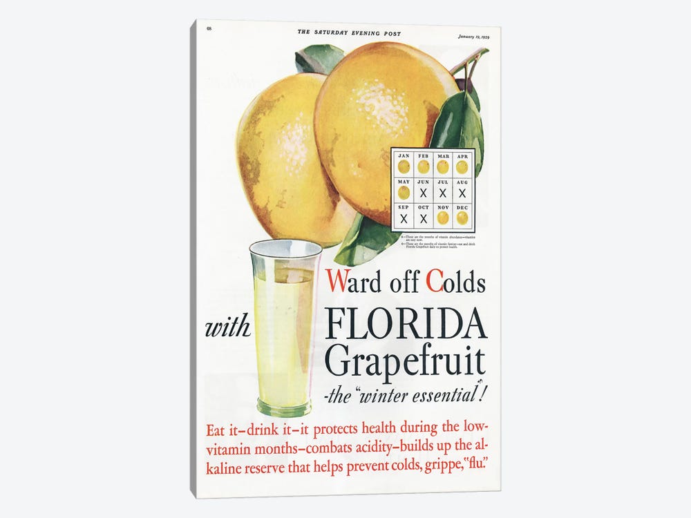 1920s Florida Grapefruit Magazine Advert by The Advertising Archives 1-piece Art Print
