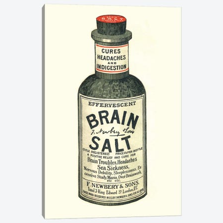 1890s Brain Salt Magazine Advert Canvas Print #TAA288} by The Advertising Archives Art Print
