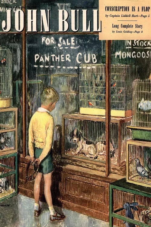 1948 John Bull Magazine Cover by The Advertising Archives wall art