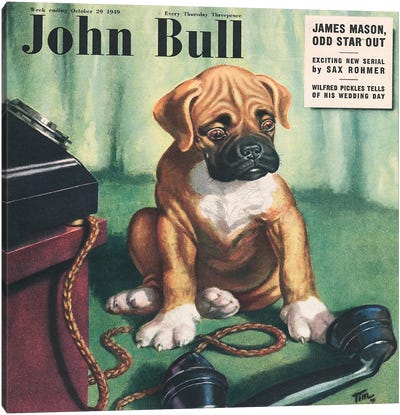 1949 John Bull Magazine Cover Canvas Art Print - Boxer Art