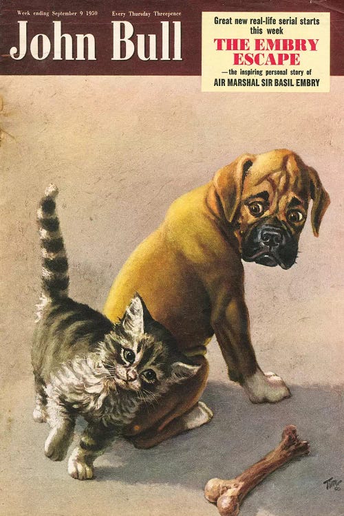1950s John Bull Magazine Cover by The Advertising Archives wall art