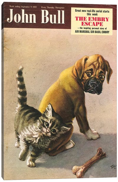 1950s John Bull Magazine Cover Canvas Art Print - Boxer Art