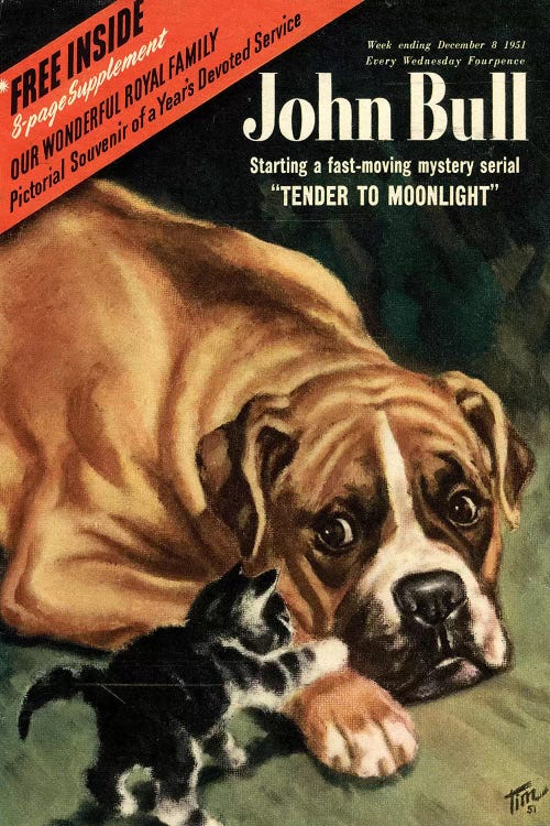 1951 John Bull Cover I by The Advertising Archives wall art