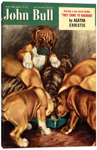 1951 John Bull Magazine Cover Canvas Art Print