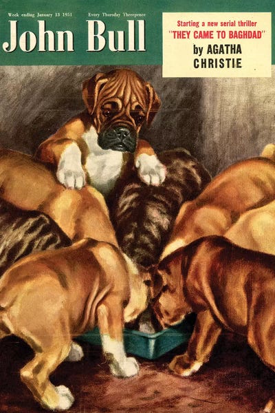 Boxers: 1951 John Bull Cover II by The Advertising Archives