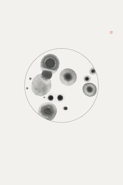 Thoth Adan: Petri Dish by Thoth Adan