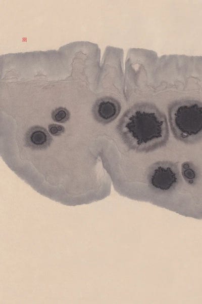 Study VII (Epidermis) by Thoth Adan multi panel art