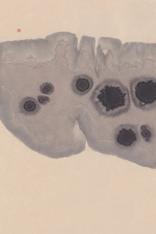 Study VII (Epidermis) by Thoth Adan wall art