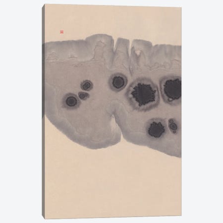 Study VII (Epidermis) Canvas Print #TAD197} by Thoth Adan Canvas Wall Art