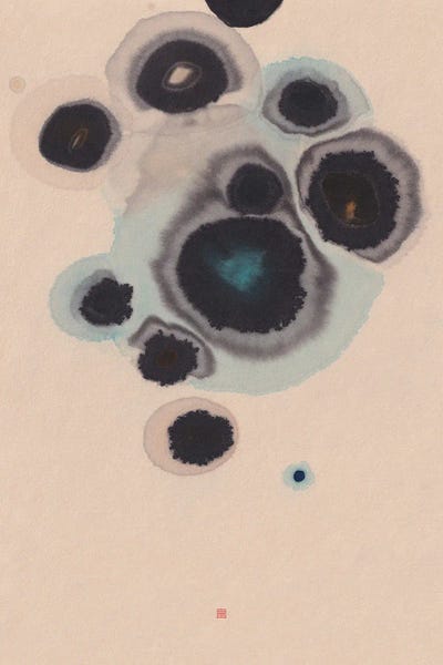 Thoth Adan: Study X (Living Stones) by Thoth Adan