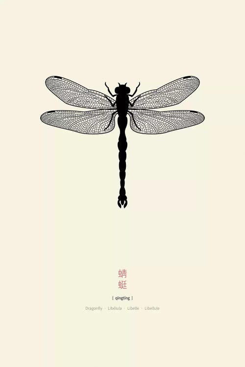 Dragonfly