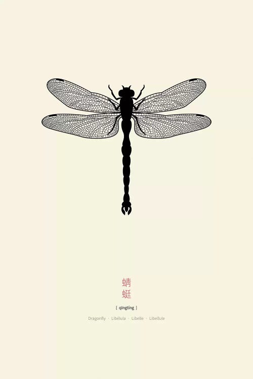 Dragonfly