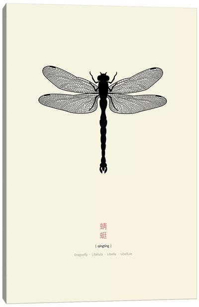 Dragonfly Canvas Art Print - Thoth Adan