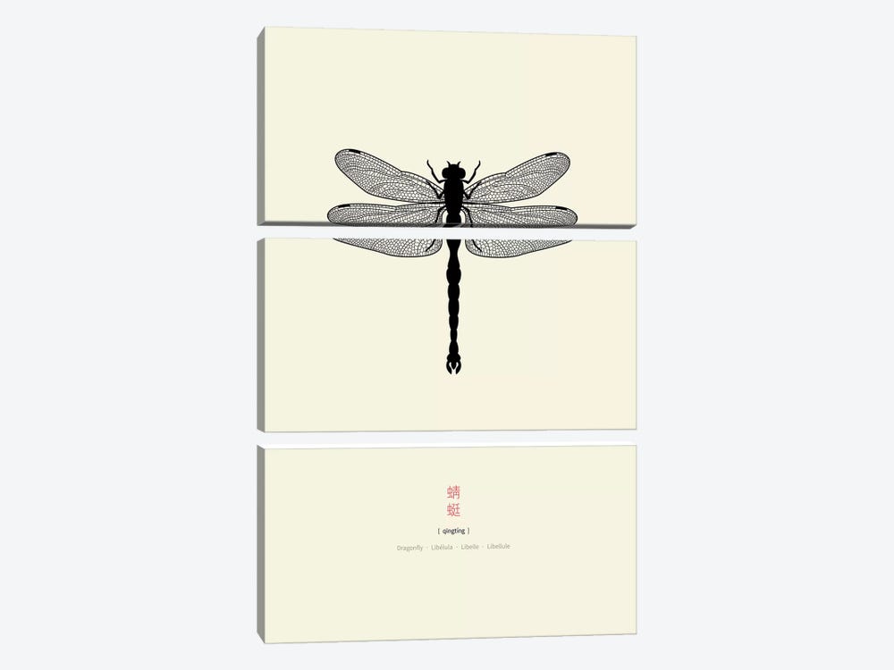 Dragonfly by Thoth Adan 3-piece Art Print