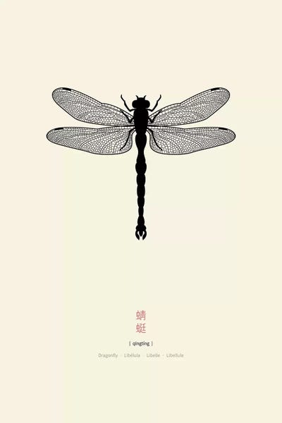 Thoth Adan: Dragonfly by Thoth Adan