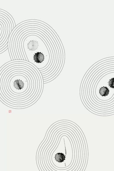 Thoth Adan: Accidental Zen Garden II by Thoth Adan