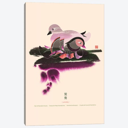 Pair Of Mandarin Ducks Canvas Print #TAD77} by Thoth Adan Canvas Art