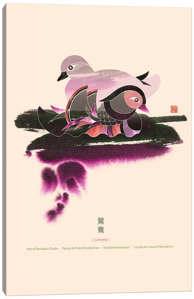 Pair Of Mandarin Ducks Canvas Art Print - Duck Art