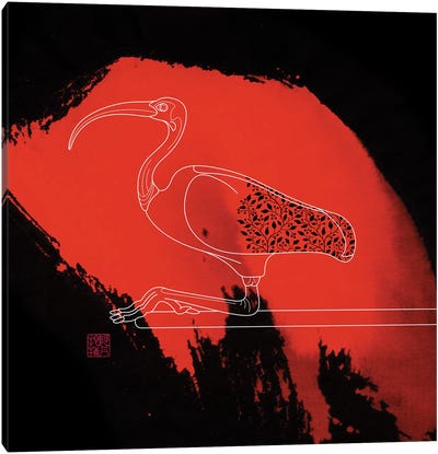 Scarlet Ibis Canvas Art Print - Thoth Adan