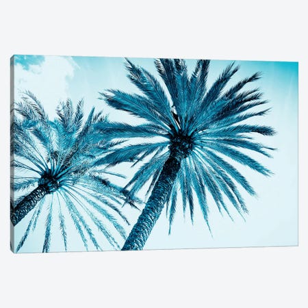 Chic Palms Canvas Print #TAI1} by Tai Prints Art Print