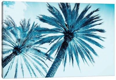Chic Palms Canvas Art Print