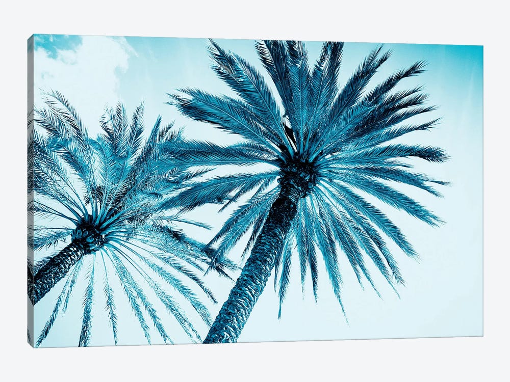 Chic Palms by Tai Prints 1-piece Canvas Art