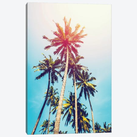 Palms In The Sun Canvas Print #TAI3} by Tai Prints Art Print