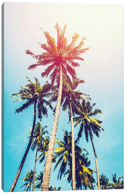 Palms In The Sun Canvas Art Print - Beach Vibes