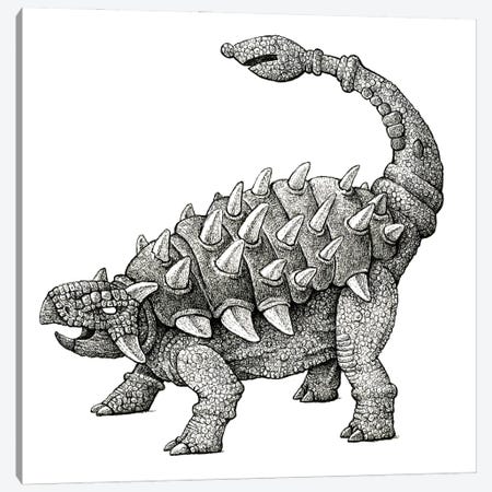 Cretaceous Bishop Canvas Print #TAK16} by Tim Andraka Canvas Print