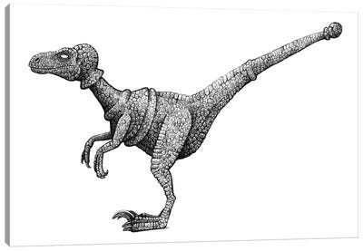 Cretaceous Pawn Canvas Art Print