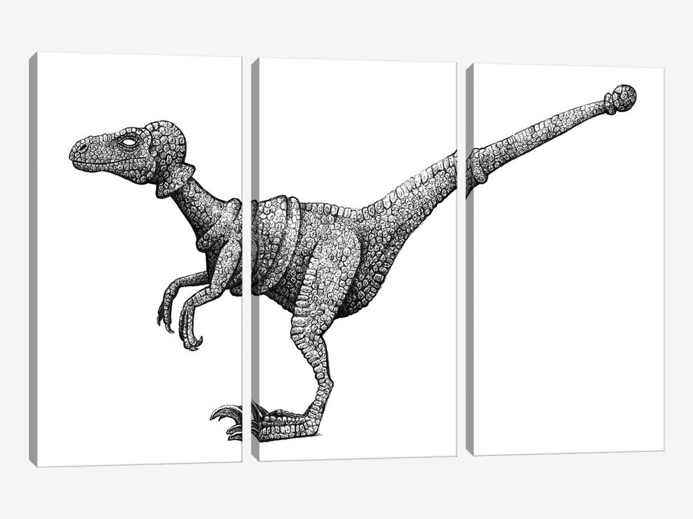 Cretaceous Pawn by Tim Andraka 3-piece Art Print