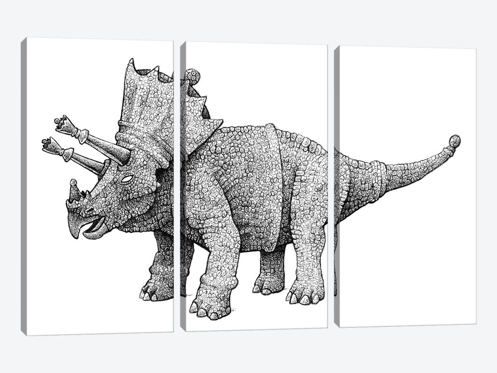 Cretaceous Queen by Tim Andraka 3-piece Canvas Print