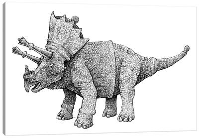 Cretaceous Queen Canvas Art Print - Tim Andraka